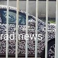 В Сети появились снимки бюджетной Lada Iskra во время тестирования в Тольятти